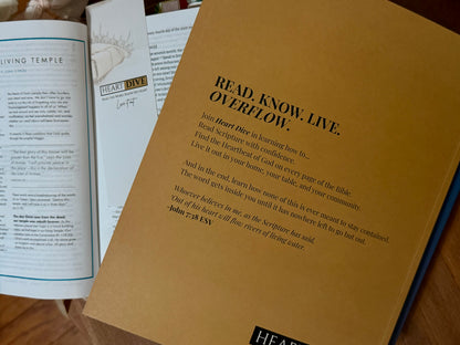 The Heart Dive Approach Workbook
